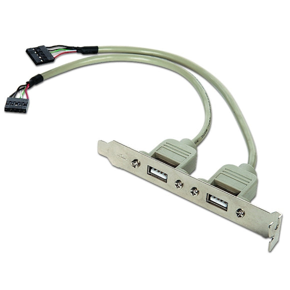 Gembird Cable USB 2.0 Panel Posterior 2xUSB 0.25Mt